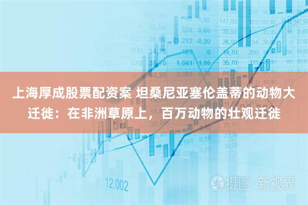 上海厚成股票配资案 坦桑尼亚塞伦盖蒂的动物大迁徙：在非洲草原上，百万动物的壮观迁徙